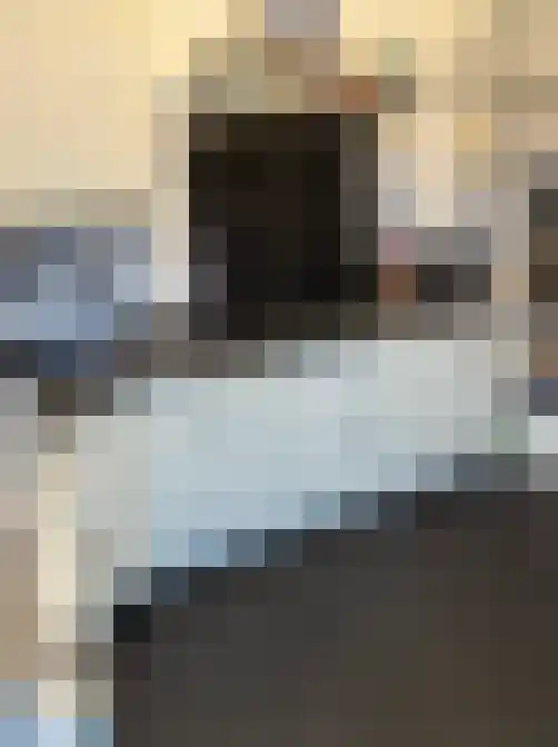 Zuider Parallelweg Velp thumbnail 6