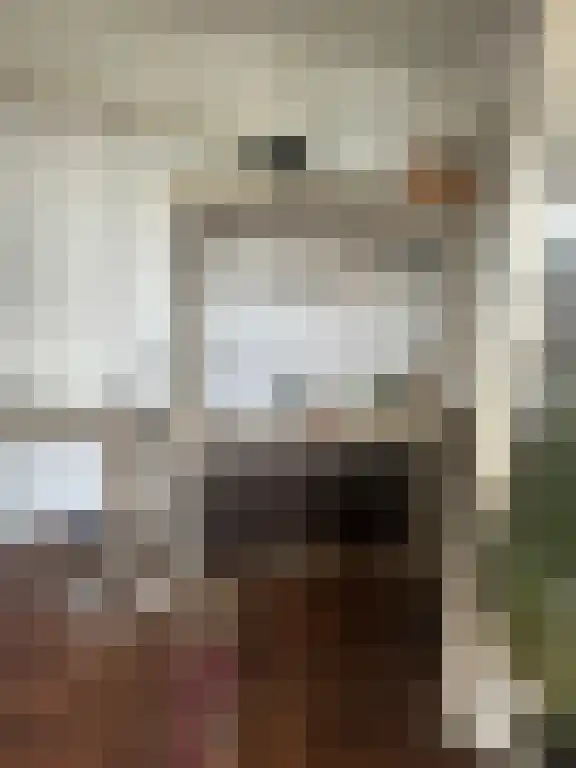 Zuider Parallelweg Velp thumbnail 6