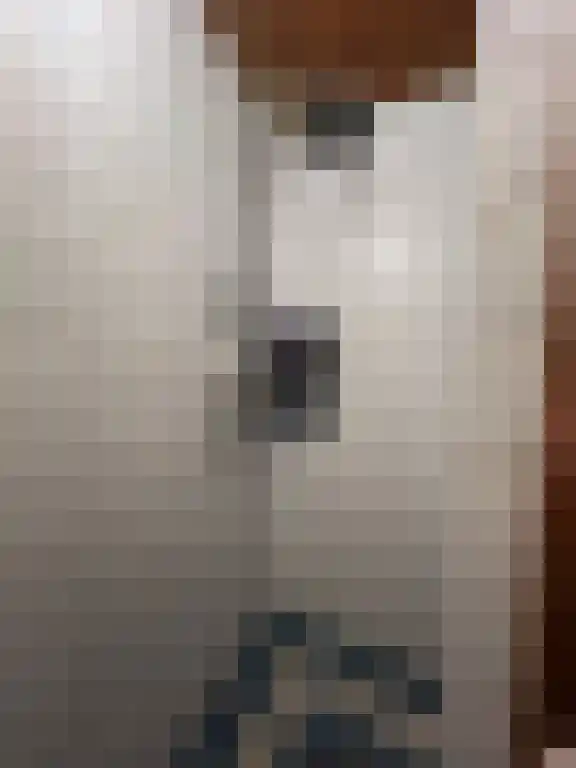 Zuider Parallelweg Velp thumbnail 6