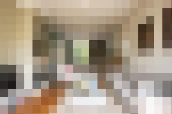 Zuider Stationsweg 11 Bloemendaal thumbnail 17