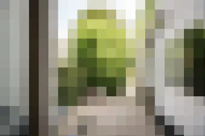 Zuider Stationsweg 11 Bloemendaal thumbnail 22