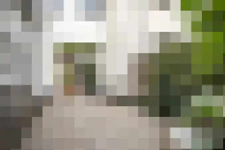 Zuider Stationsweg 11 Bloemendaal thumbnail 23