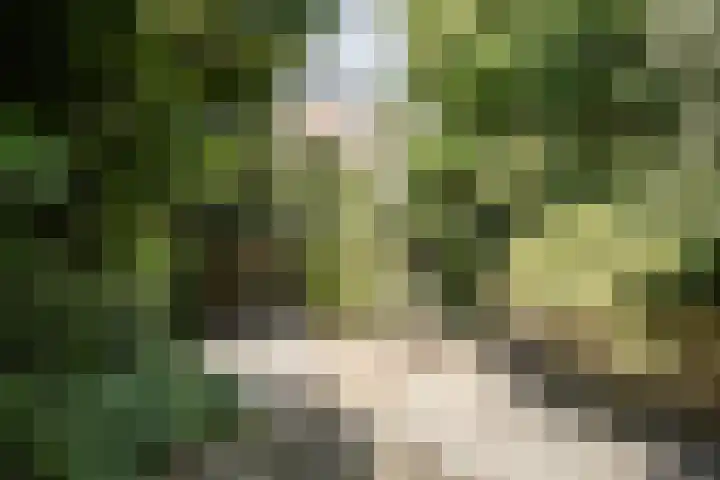 Zuider Stationsweg 11 Bloemendaal thumbnail 26