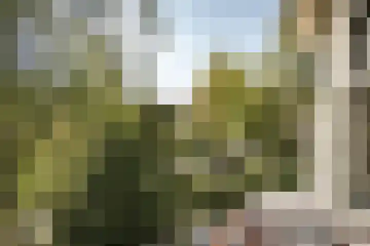 Zuider Stationsweg 11 Bloemendaal thumbnail 36