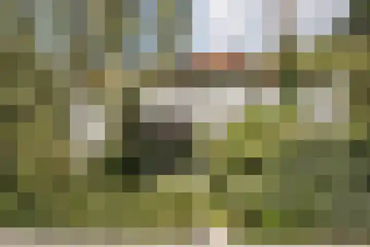 Zuider Stationsweg 11 Bloemendaal thumbnail 48