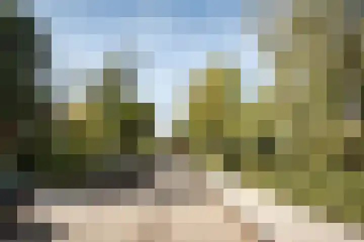 Zuider Stationsweg 11 Bloemendaal thumbnail 49