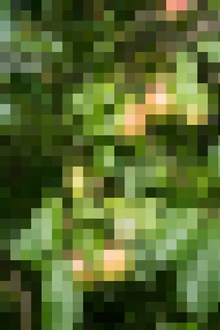 Zuider Stationsweg 11 Bloemendaal thumbnail 6