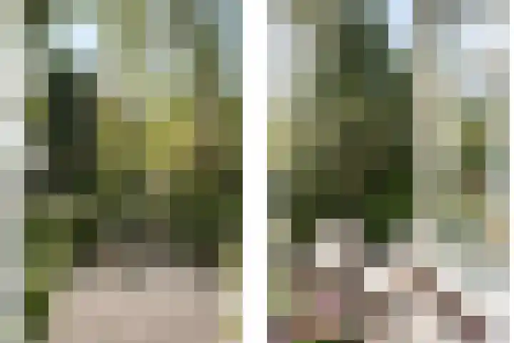 Zuider Stationsweg 11 Bloemendaal thumbnail 7