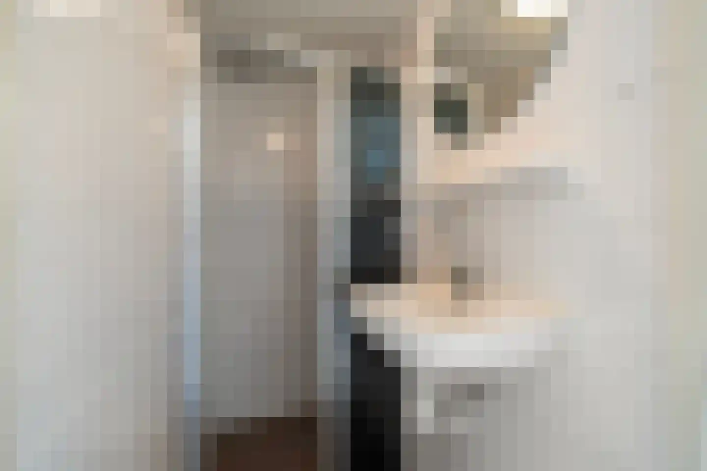 Zuider Vijverlaan 10 Schagen thumbnail 24