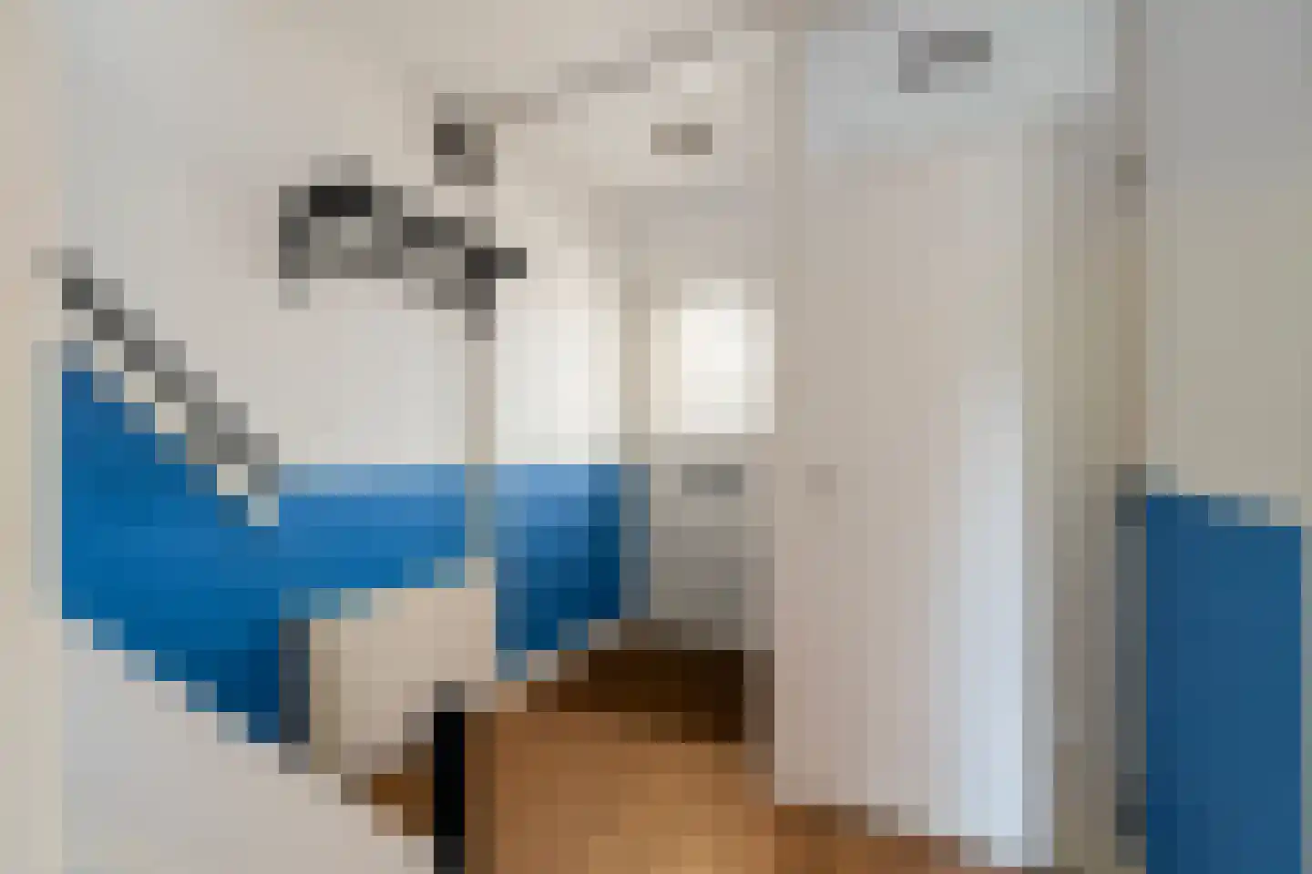 Zuider Vijverlaan 10 Schagen thumbnail 6