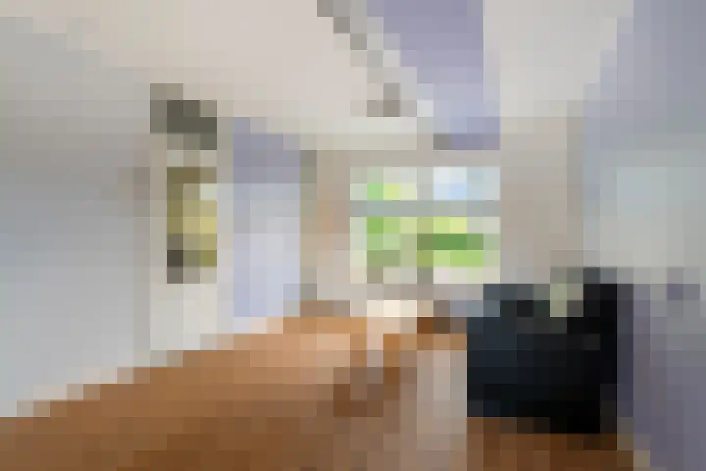 Zuider Vijverlaan 10 Schagen thumbnail 9