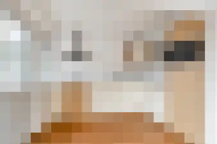 Zuider Vijverlaan 9 Schagen thumbnail 13