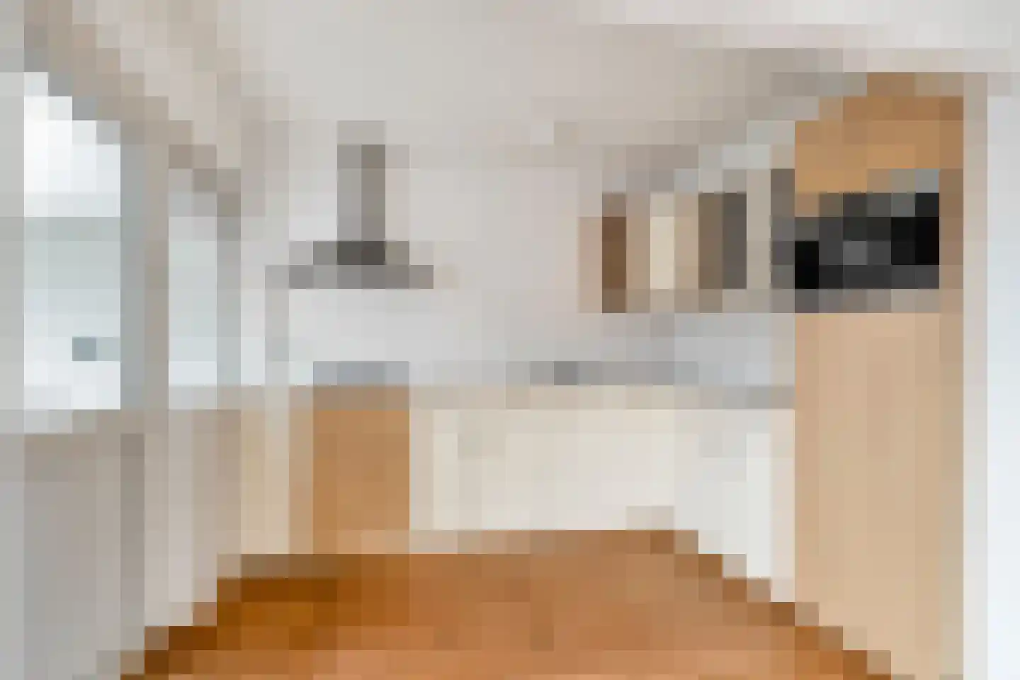 Zuider Vijverlaan 9 Schagen thumbnail 13
