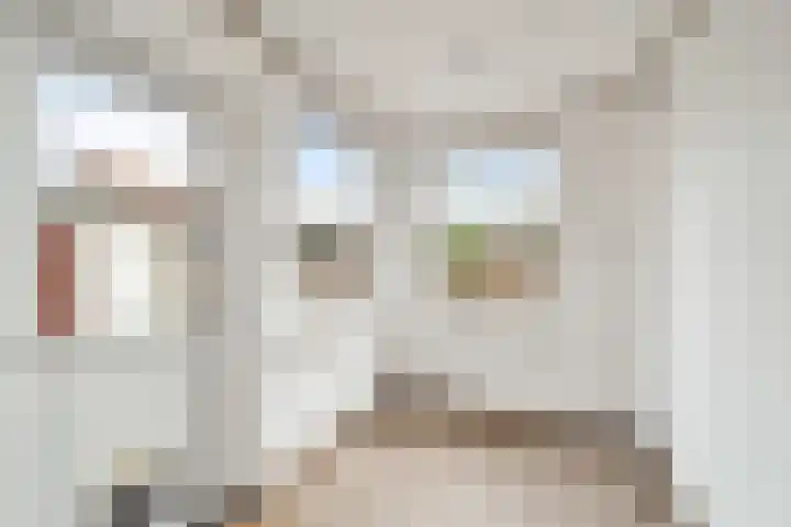 Zuider Vijverlaan 9 Schagen thumbnail 16