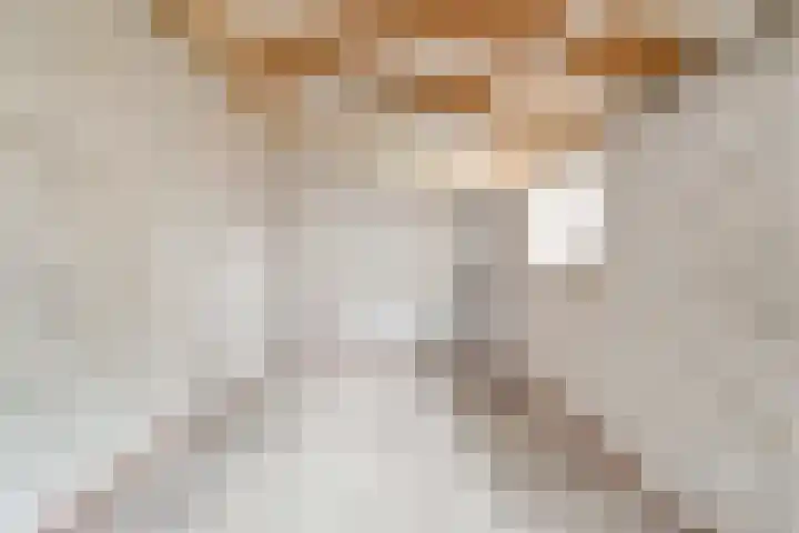 Zuider Vijverlaan 9 Schagen thumbnail 18