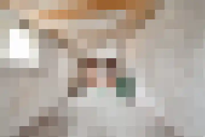 Zuider Vijverlaan 9 Schagen thumbnail 19