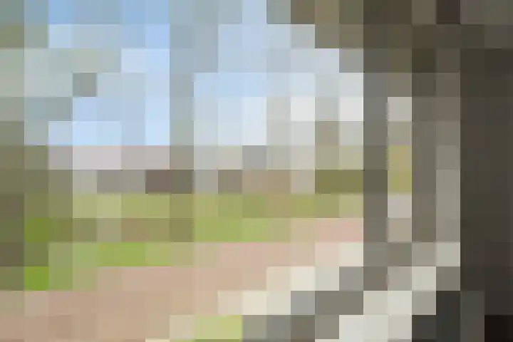 Zuider Vijverlaan 9 Schagen thumbnail 22