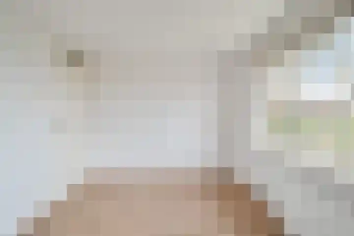 Zuider Vijverlaan 9 Schagen thumbnail 23