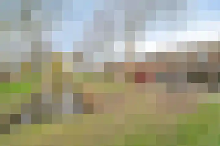 Zuider Vijverlaan 9 Schagen foto 3