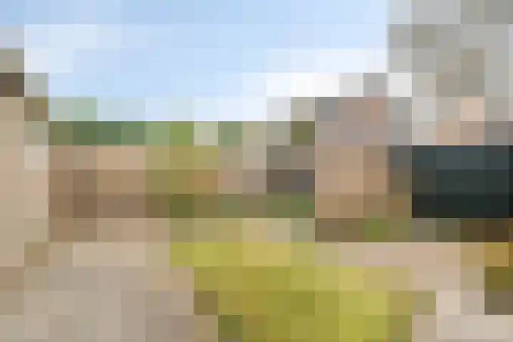 Zuider Vijverlaan 9 Schagen thumbnail 35