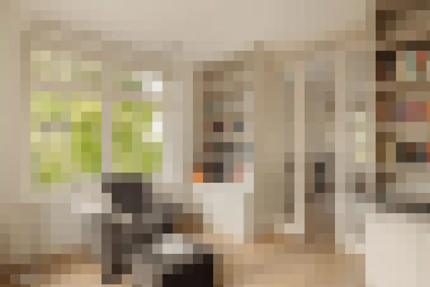 Zuiderakerweg 32 Amsterdam thumbnail 17