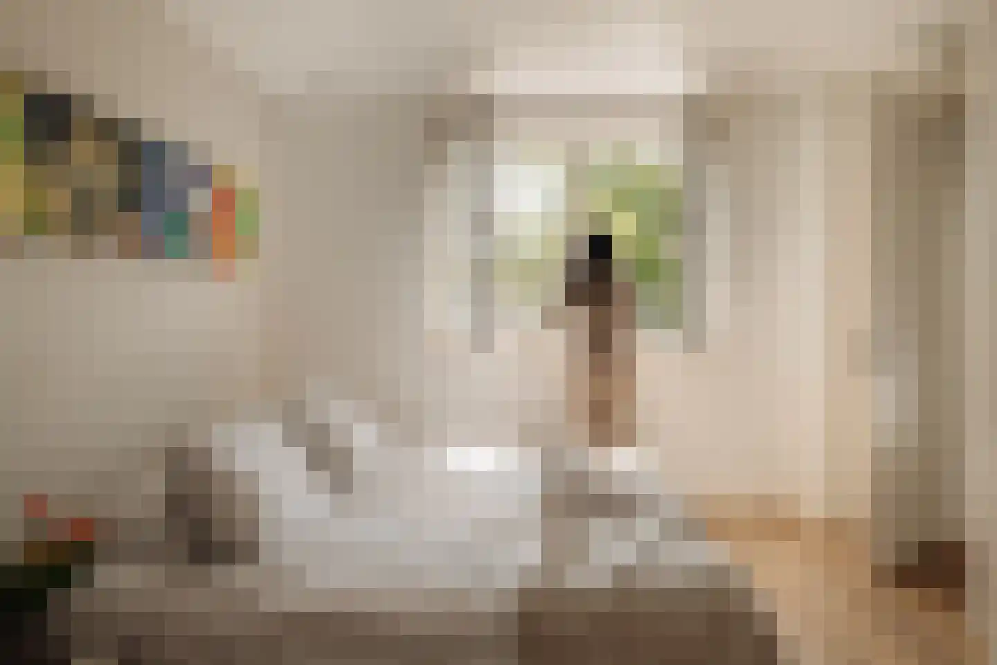 Zuiderakerweg 32 Amsterdam thumbnail 39
