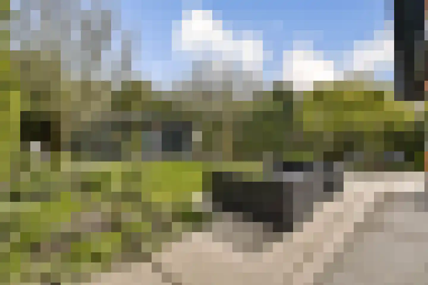Zuiderakerweg 97 Amsterdam thumbnail 13