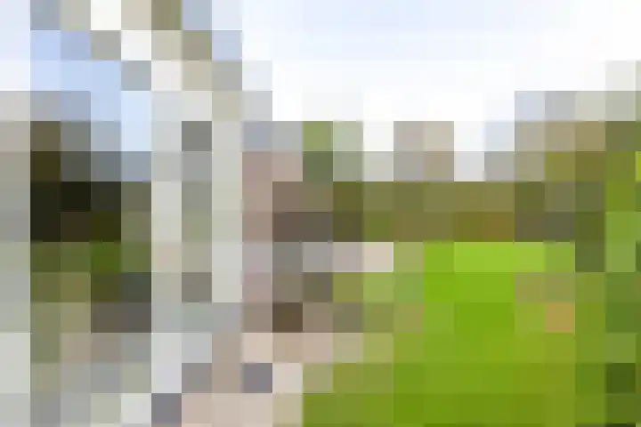 Zuiderbaan 3 Vlissingen thumbnail 21