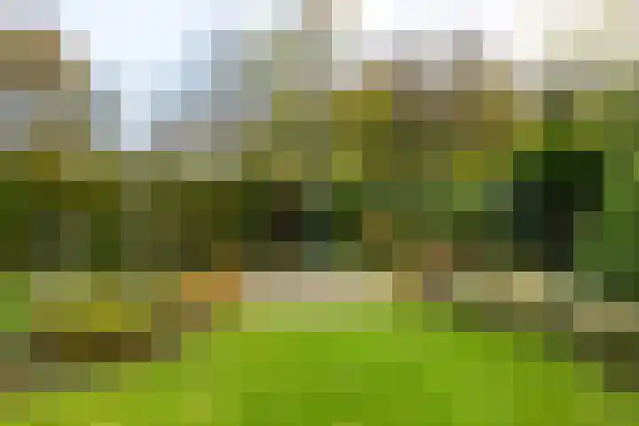 Zuiderbaan 3 Vlissingen thumbnail 22