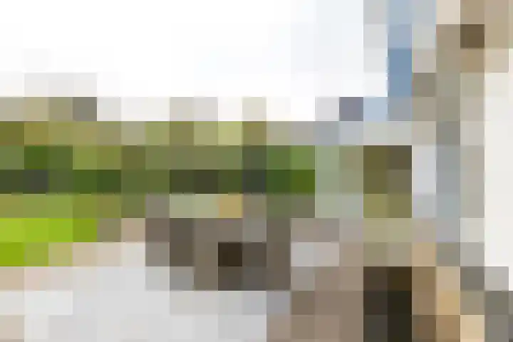 Zuiderbaan 3 Vlissingen thumbnail 25