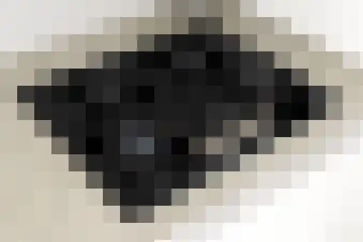 Zuiderbaan 3 Vlissingen thumbnail 32