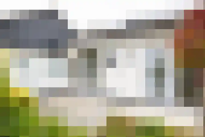 Zuiderbaan 57 Vlissingen thumbnail 23