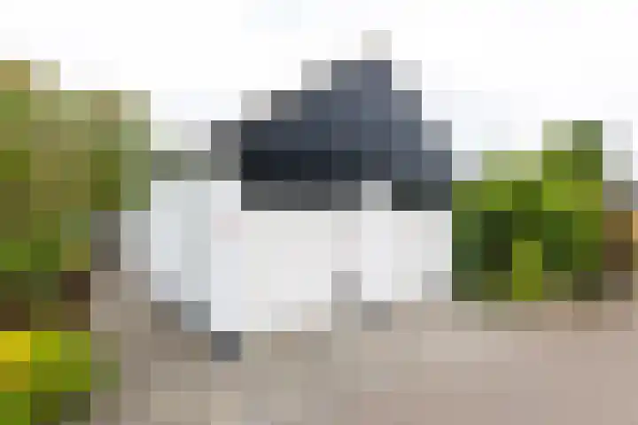 Zuiderbaan 57 Vlissingen thumbnail 4