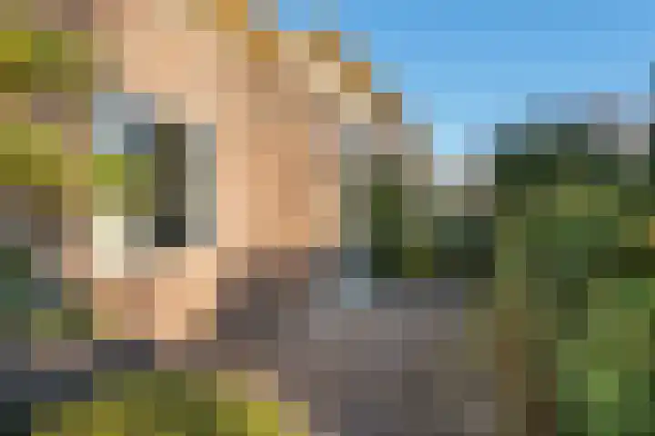 Zuiderbeekweg 26 Oosterbeek thumbnail 13