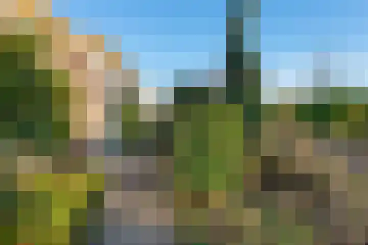 Zuiderbeekweg 26 Oosterbeek thumbnail 14