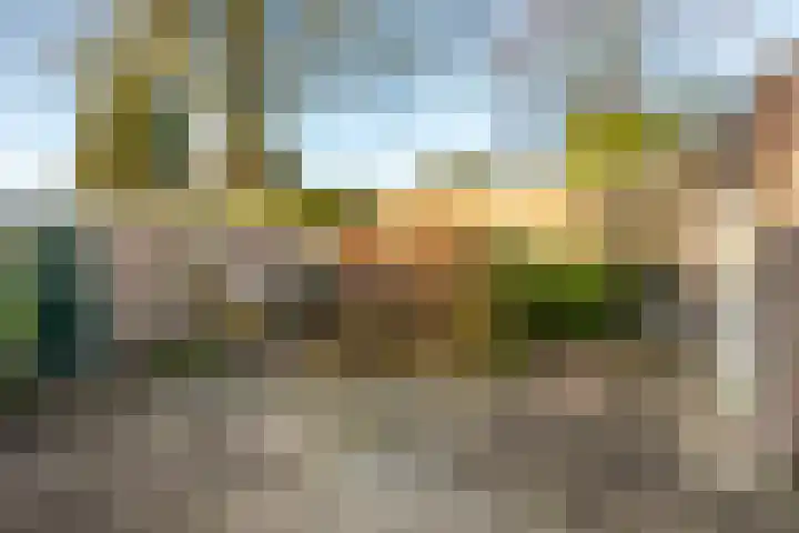 Zuiderbeekweg 26 Oosterbeek thumbnail 39