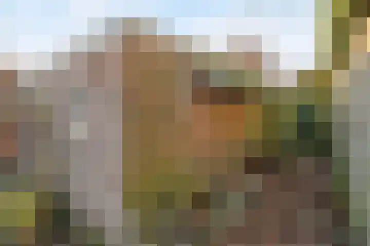 Zuiderbeekweg 26 Oosterbeek thumbnail 46