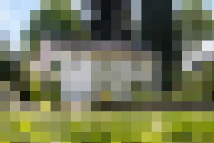 Zuiderbeekweg 6 dans Oosterbeek