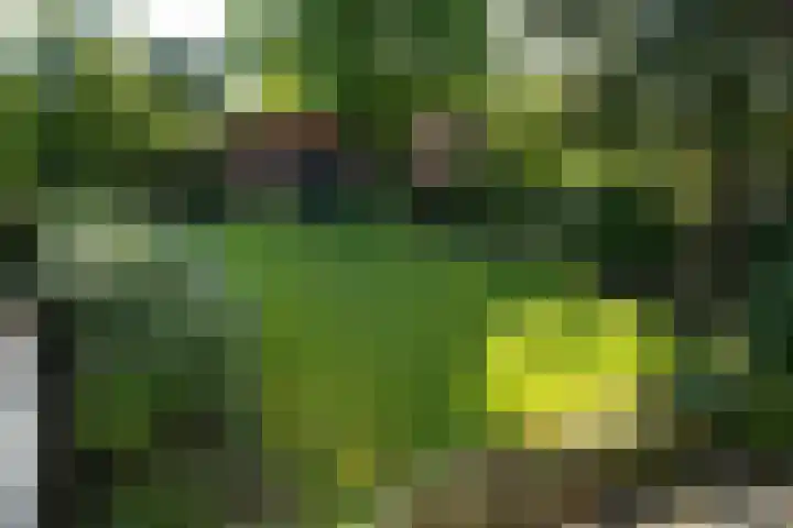 Zuiderbeekweg 6 Oosterbeek thumbnail 30
