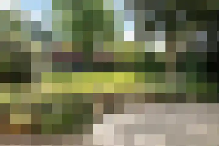 Zuiderbeekweg 6 Oosterbeek thumbnail 40