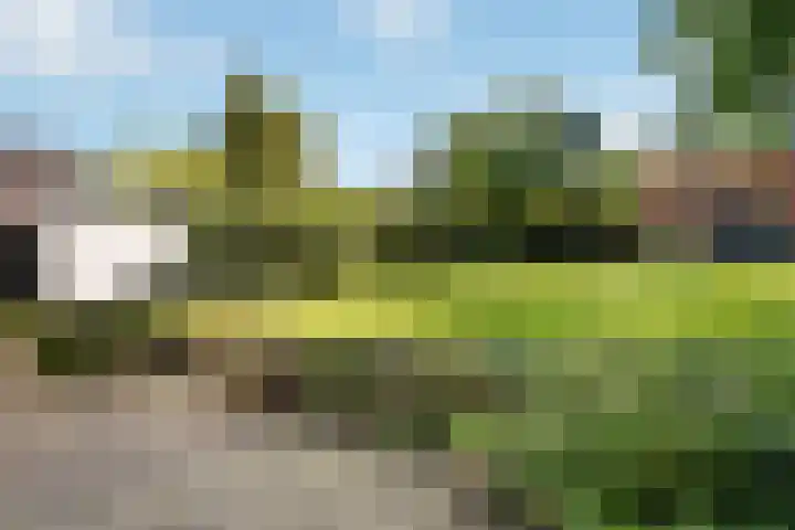 Zuiderbeekweg 6 Oosterbeek thumbnail 42