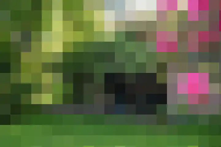 Zuiderbeekweg 6 Oosterbeek thumbnail 47