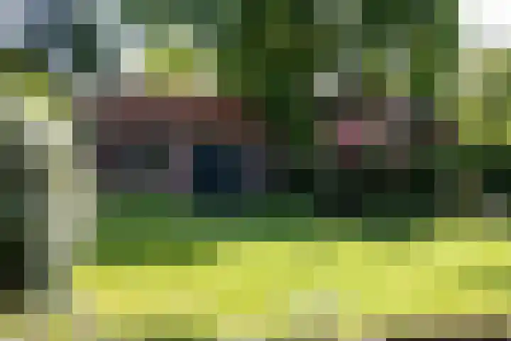 Zuiderbeekweg 6 Oosterbeek thumbnail 49