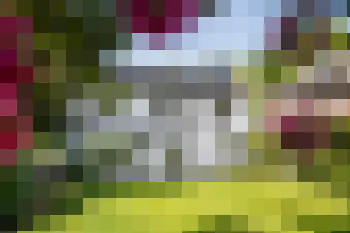 Zuiderbeekweg 6 Oosterbeek thumbnail 51