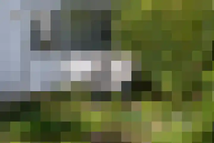 Zuiderbeekweg 6 Oosterbeek thumbnail 55