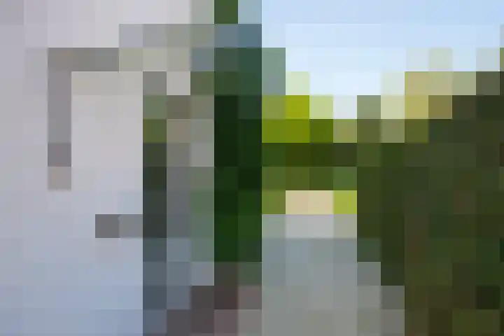 Zuiderbeekweg 6 Oosterbeek thumbnail 57