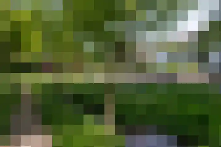 Zuiderbeekweg 6 Oosterbeek thumbnail 61