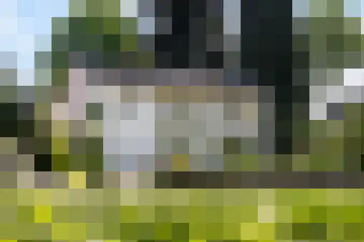 Zuiderbeekweg 6 Oosterbeek thumbnail 68