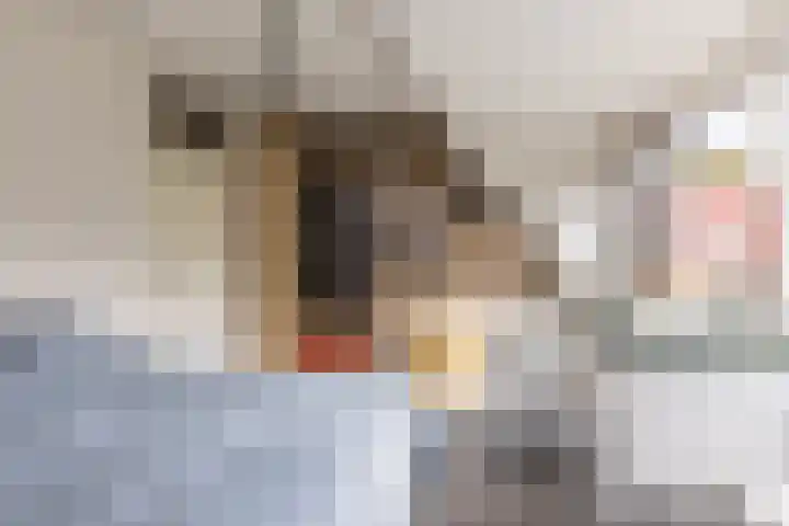 Zuiderbeemd 11 Oosterhout thumbnail 21