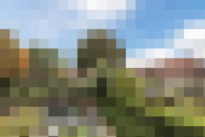 Zuiderbeemd 11 Oosterhout thumbnail 36
